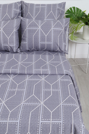 095097e3-cf3e-40d4-9f9a-e01b1227f33a